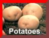 Potato Page